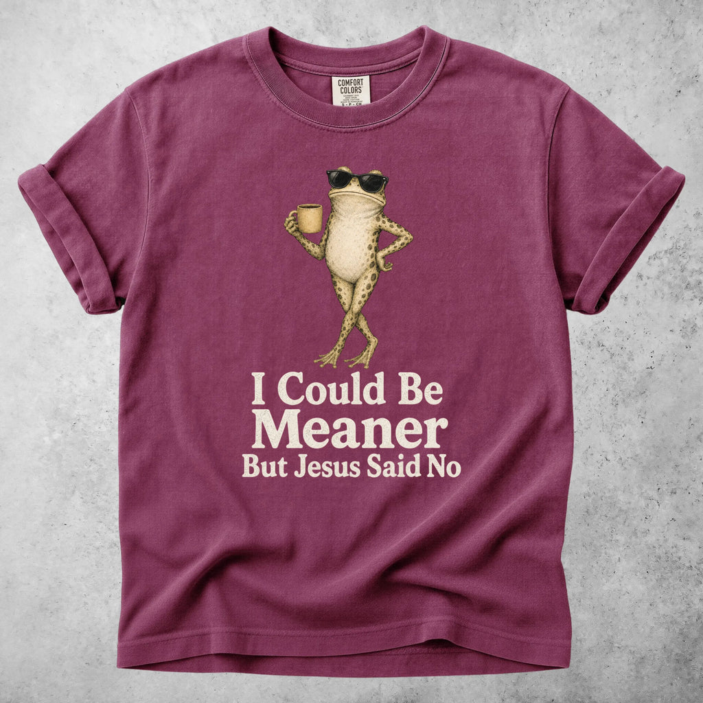 Printify T-Shirt Berry / S I Could Be Meaner