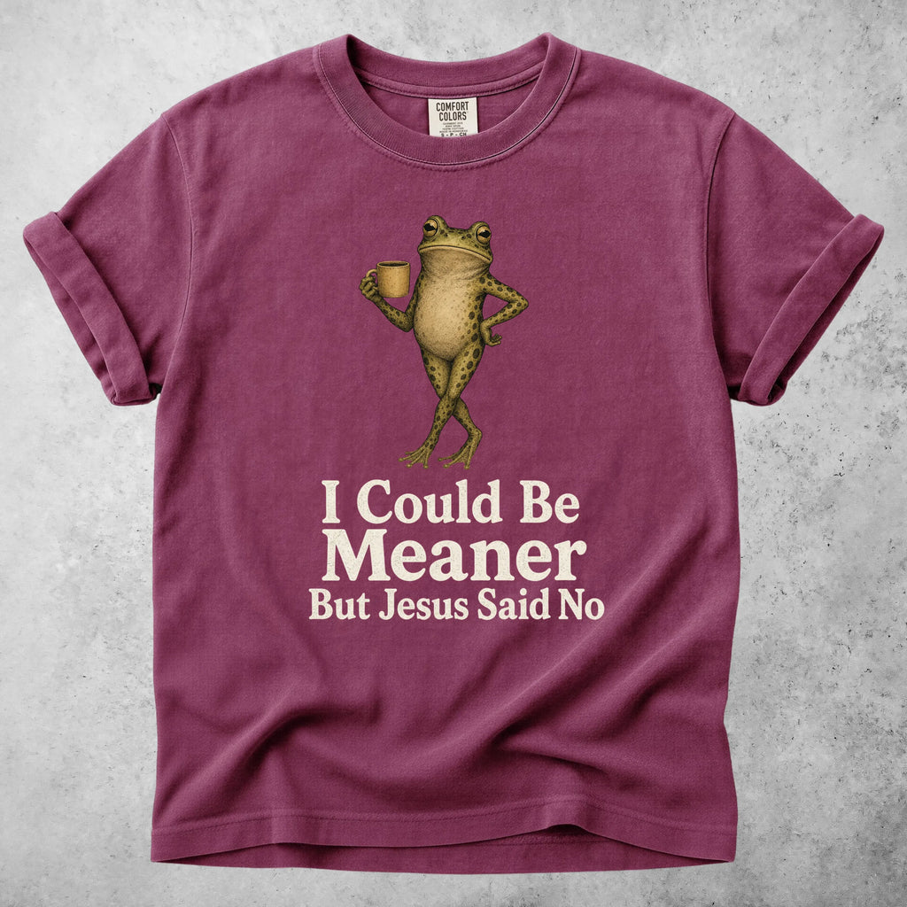 Printify T-Shirt Berry / S I Could Be Meaner But Jesus Said No