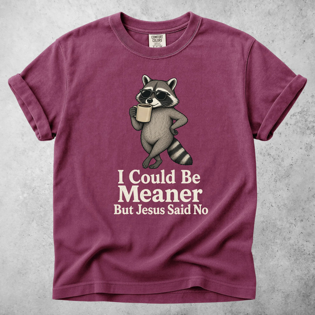 Printify T-Shirt Berry / S I Could Be Meaner But Jesus Said No - T-Shirt