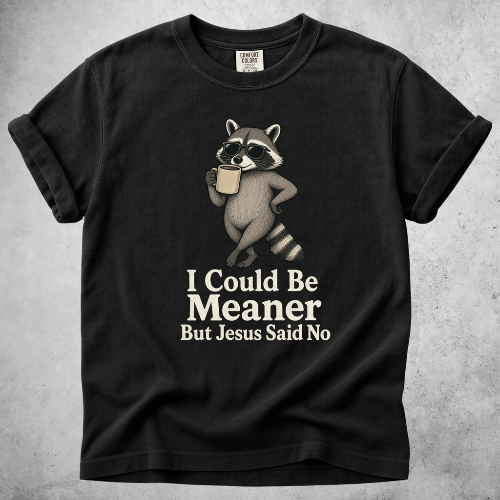 Printify T-Shirt Black / S I Could Be Meaner But Jesus Said No - T-Shirt