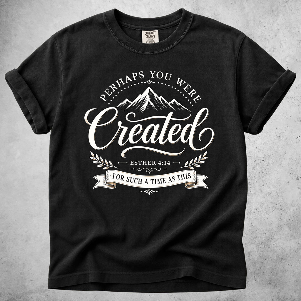 Printify T-Shirt Black / S Perhaps You Were Created