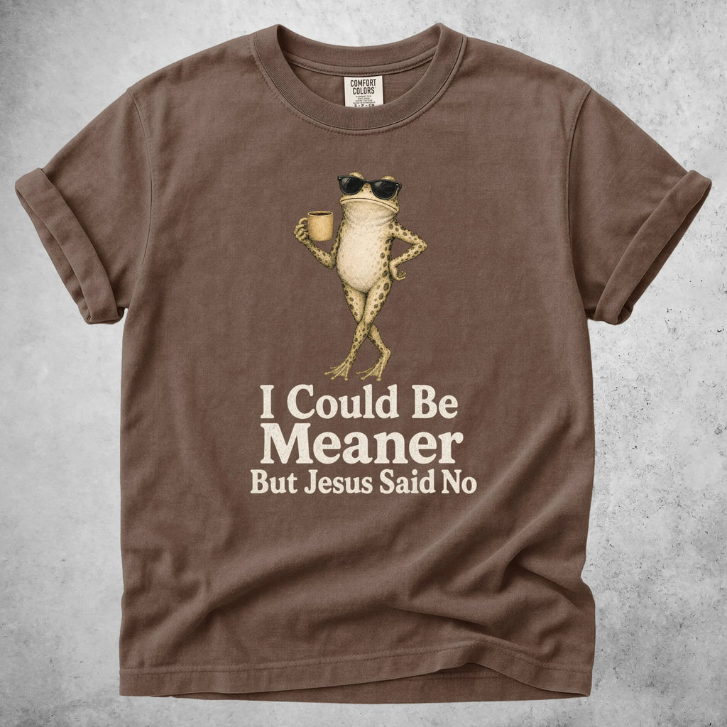 Printify T-Shirt Espresso / S I Could Be Meaner