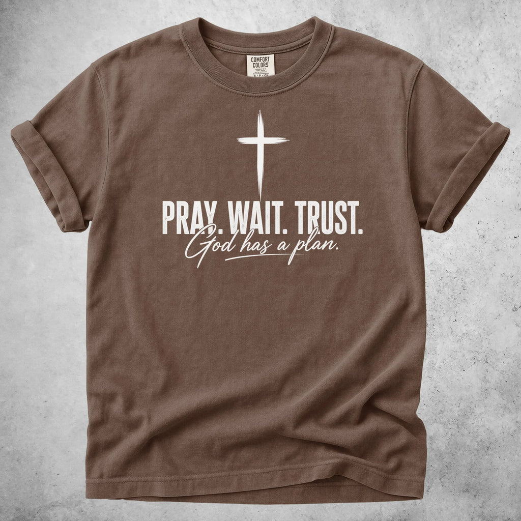 Printify T-Shirt Espresso / S PRAY. WAIT. TRUST. God has a plan