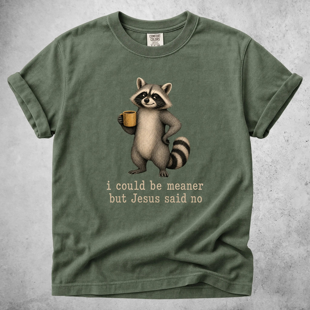 Printify T-Shirt Moss / S I could be meaner but Jesus said no - T-Shirt