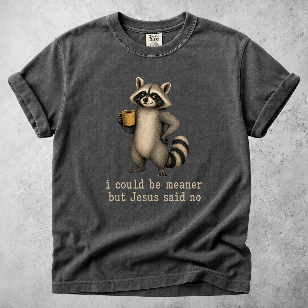 Printify T-Shirt Pepper / S I could be meaner but Jesus said no - T-Shirt